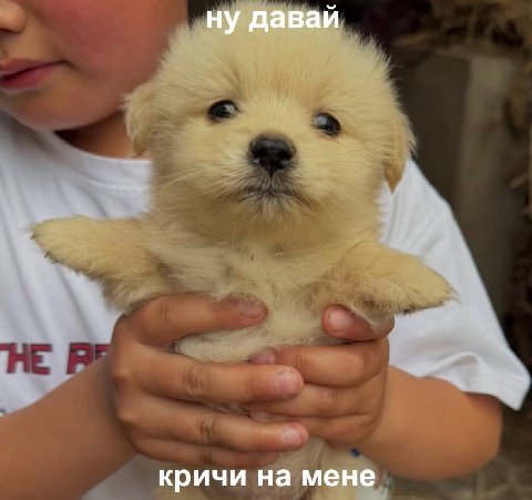 ну давай кричи на мене