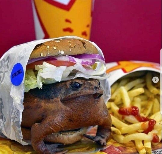 It is wednesday my dudes