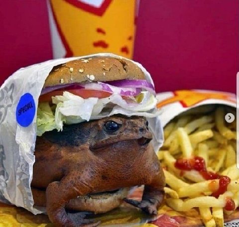 It is wednesday my dudes