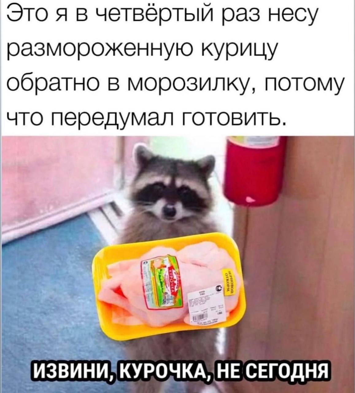 Это я в четвёртый раз несу размороженную курицу обратно в морозилку, потому что передумал готовить. ИЗВИНИ, НЕ СЕГОДНЯ