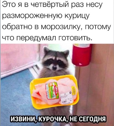 Это я в четвёртый раз несу размороженную курицу обратно в морозилку, потому что передумал готовить. ИЗВИНИ, НЕ СЕГОДНЯ