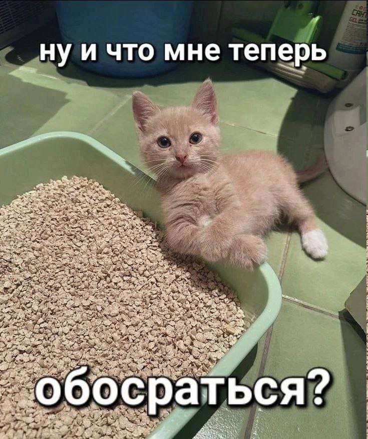 нуи что мне теперь a a a Ses и к О сраться