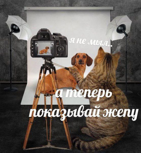 показывай