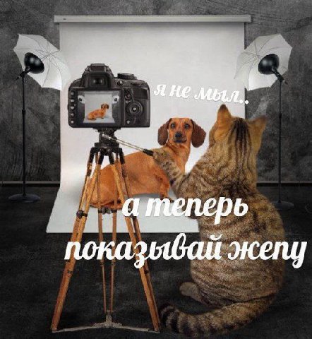 показывай