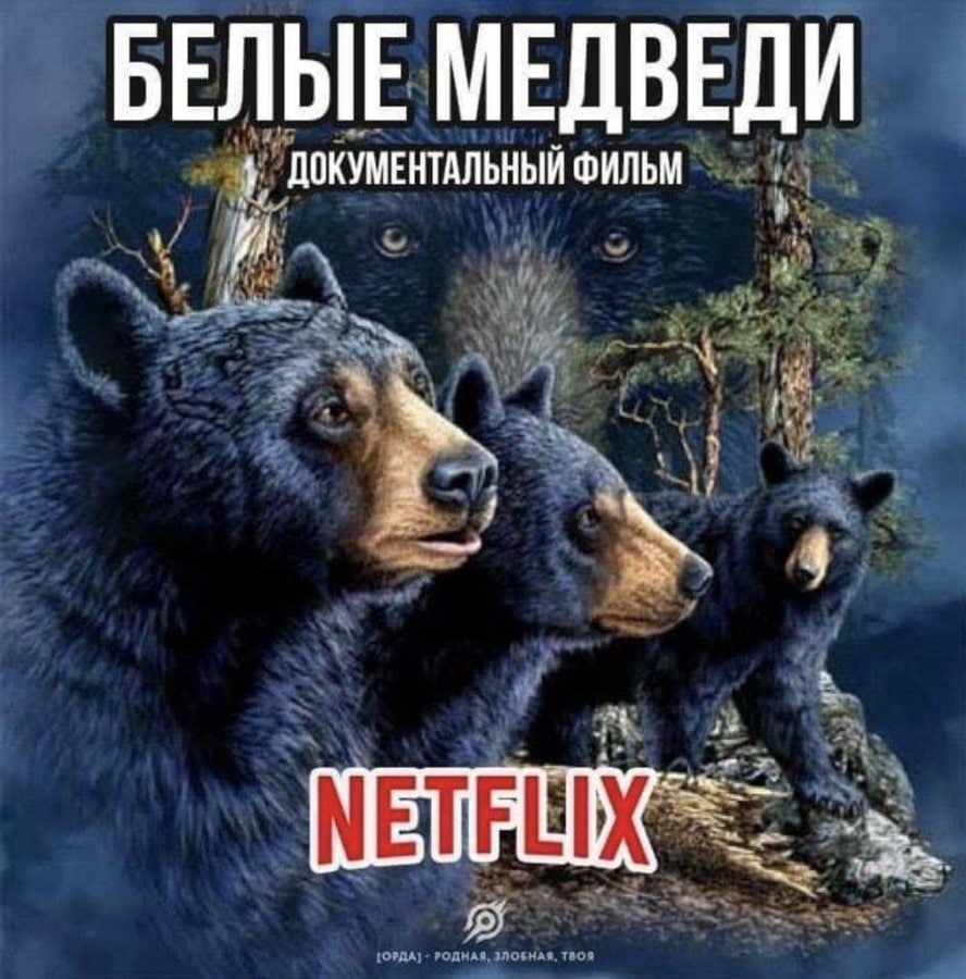 БЕЛЫЕ МЕДВЕДИ ДОКУМЕНТАЛЬНЫЙ ФИЛЬМ