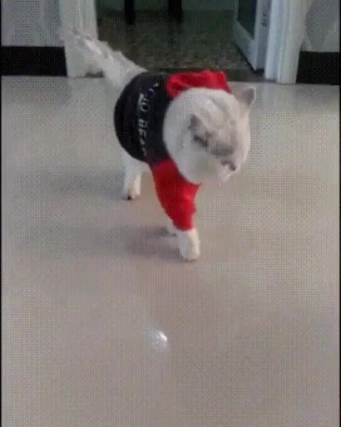 я к Я 4