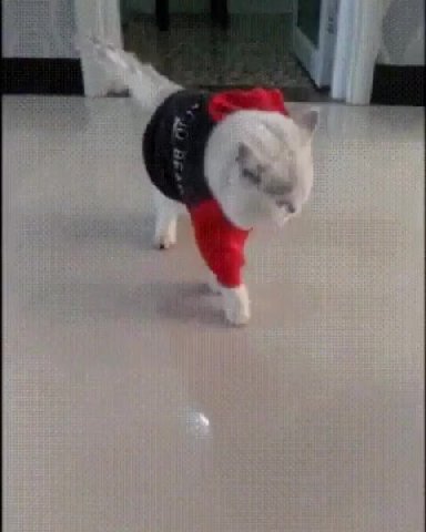 я к Я 4