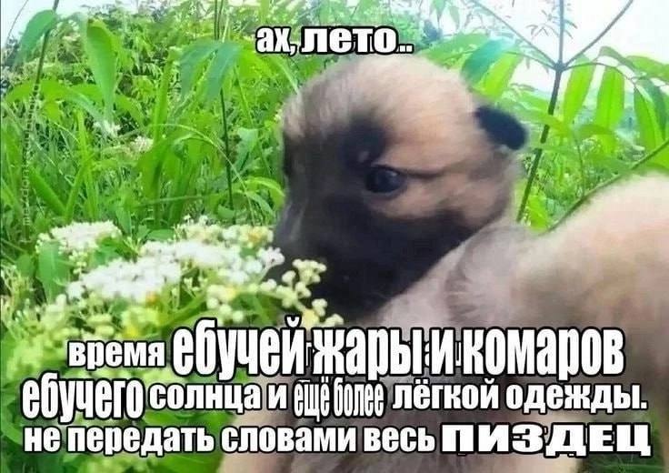 лето a Солнца и лёгкой одежды. не передать словами весь ПИЗДЕЦ