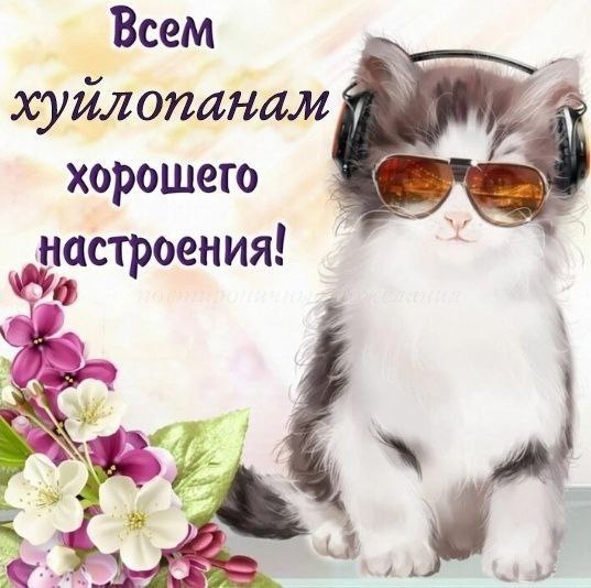 Всем хорошего настроения! a 3 in