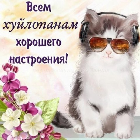 Всем хорошего настроения! a 3 in