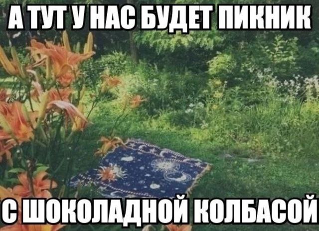 АТУТ УНАС БУДЕТ ПИКНИК я СШОКОЛАДНОЙ КОЛБАСОЙ