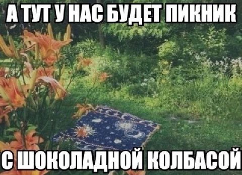 АТУТ УНАС БУДЕТ ПИКНИК я СШОКОЛАДНОЙ КОЛБАСОЙ