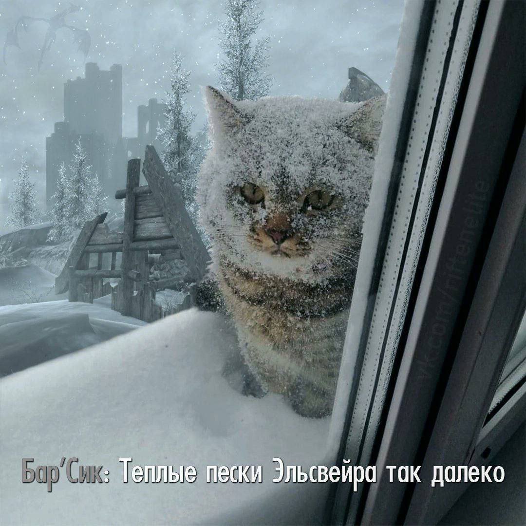 Теплые пески Эльсвейра так далеко
