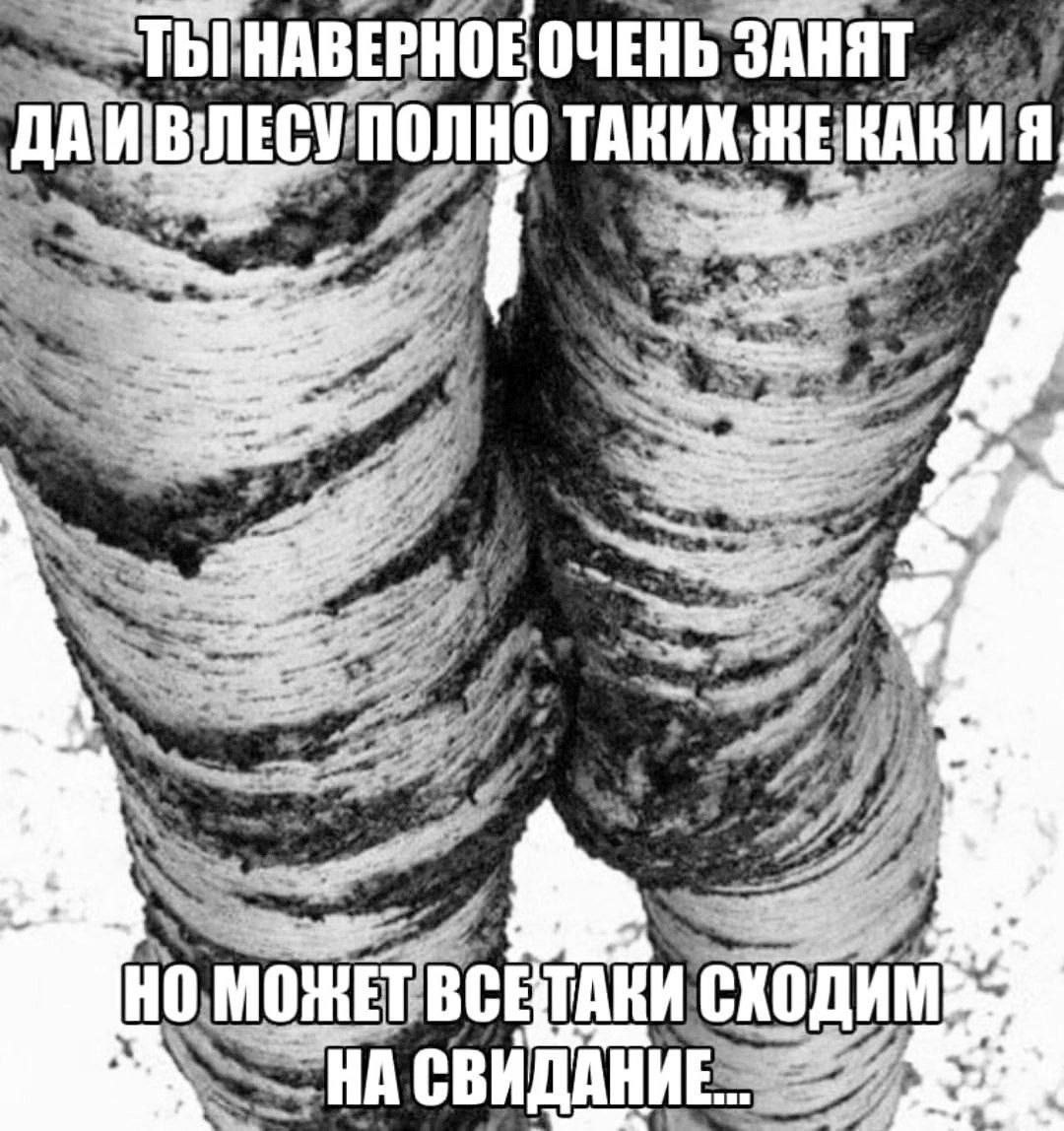 HABEPHOE ОЧЕНЬ ЗАНЯТ 5 К ДА ВСЕТАКИ