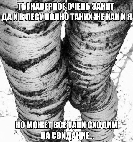 HABEPHOE ОЧЕНЬ ЗАНЯТ 5 К ДА ВСЕТАКИ