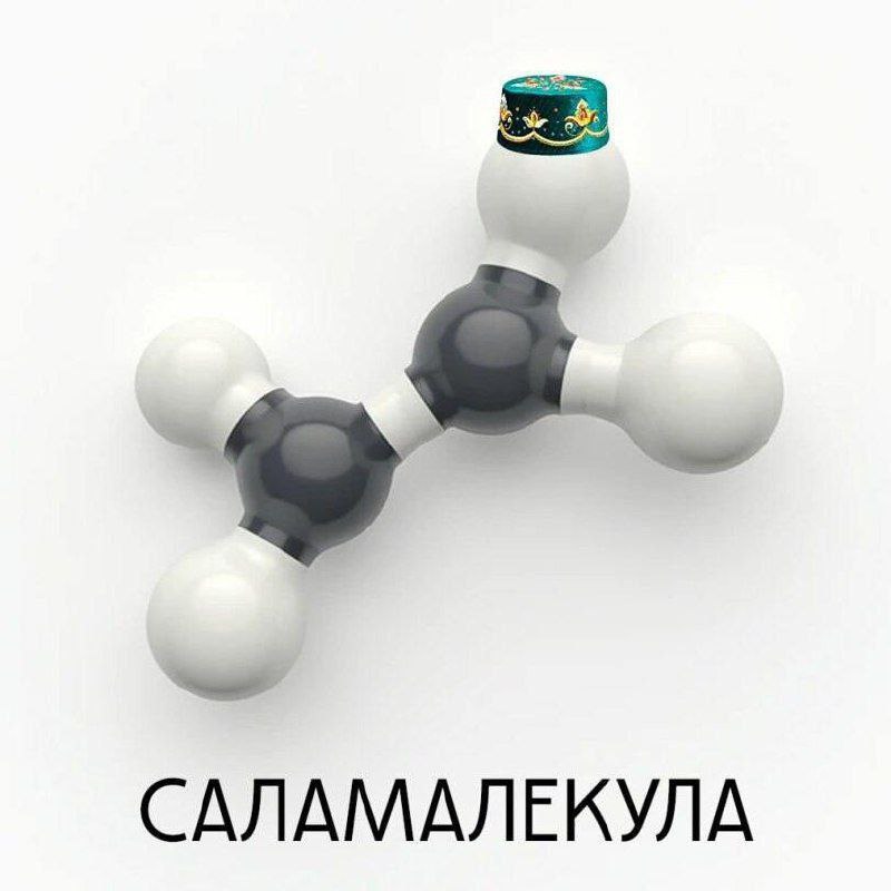 САЛАМАЛЕКУЛА