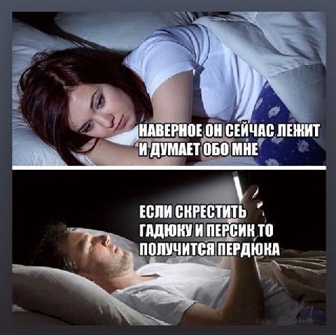у HABEPHOE он СЕЙЧАС ЛЕЖИТ ДУМАЕТ ОБО МНЕ ЕСЛИ СКРЕСТИТЬ ГАДЮКУ И ПЕРСИК ТО ПОЛУЧИТСЯ ПЕРДЮКА
