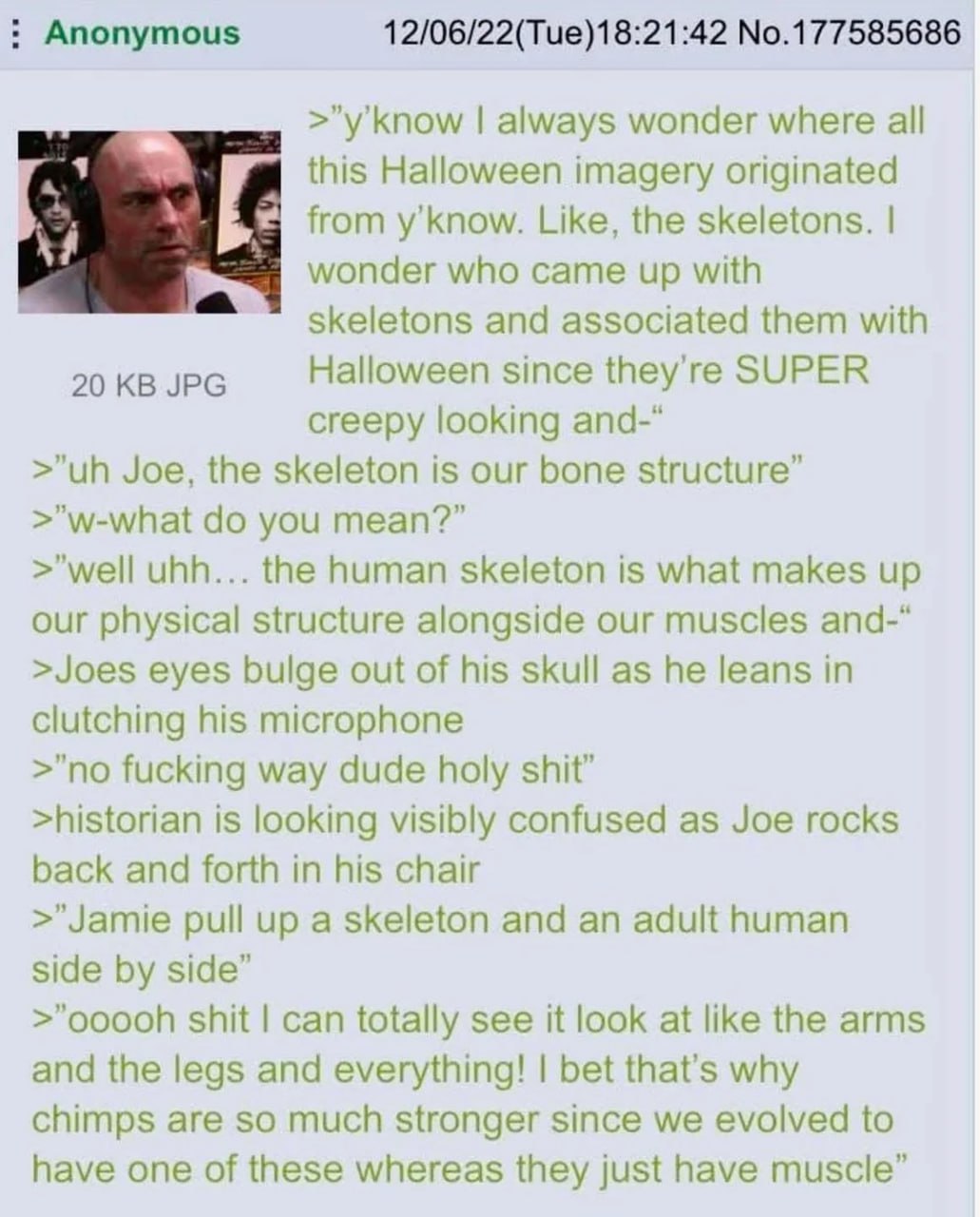 Anonymous 12/06/22(Tue)18:21:42 No.177585686 >"y'know always wonder where all this Halloween imagery originated from y'know. Like, the skeletons. wonder who came up with skeletons and associated them 