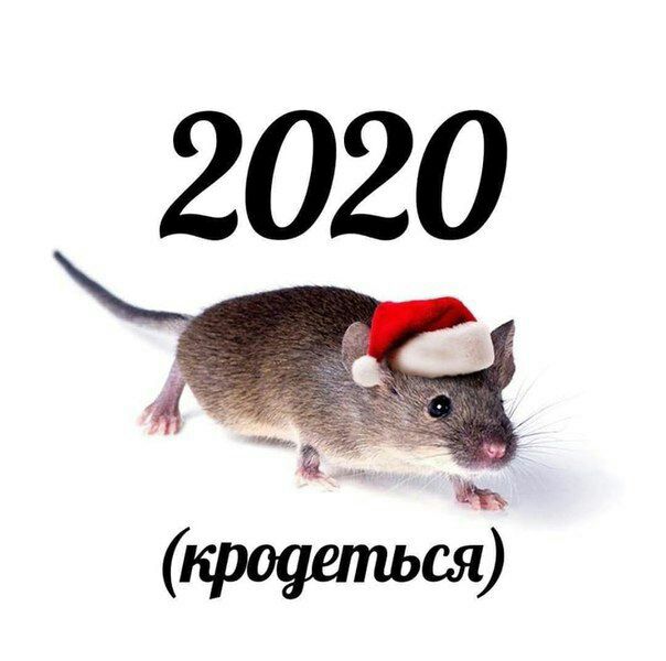 (кродеться)