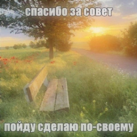 за пойду сделаю по-своему