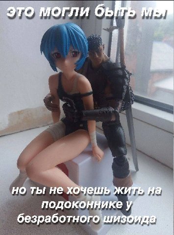 это могли но ты не хочешь жить а подоконнике у. безработного‘ши