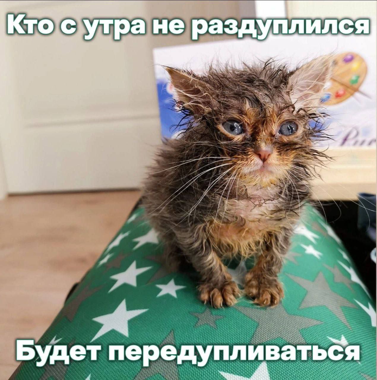Кто с yTpa He раздуплился] 4 Будет передупливаться