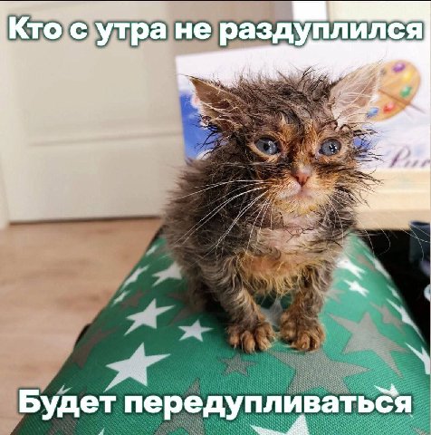 Кто с yTpa He раздуплился] 4 Будет передупливаться