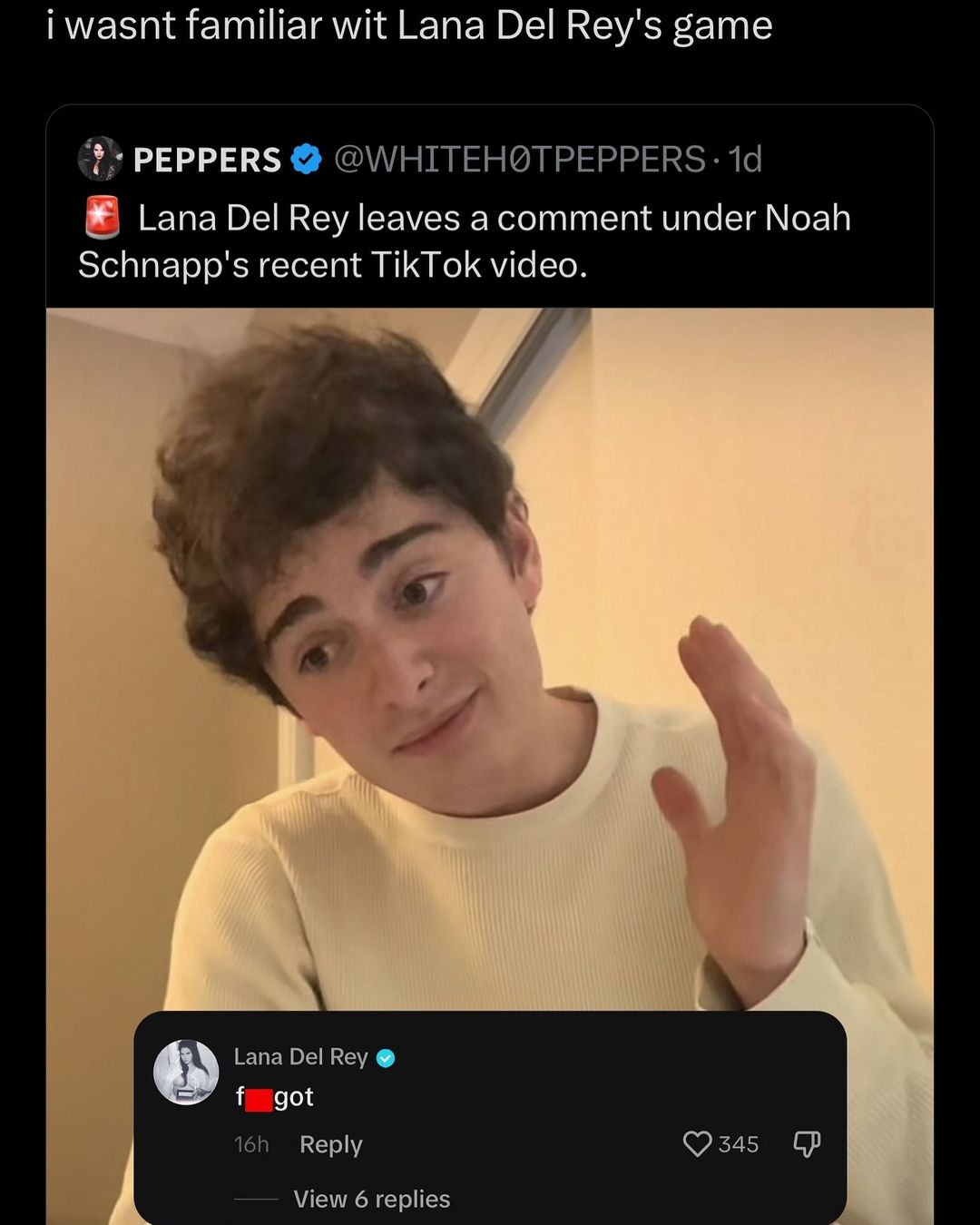 familiar wit Lana Del Rey's game PEPPERS В Lana Del Rey leaves a comment under Noah Schnapp's recent TikTok Lana Del Rey Reply ©2345 View 6 replies