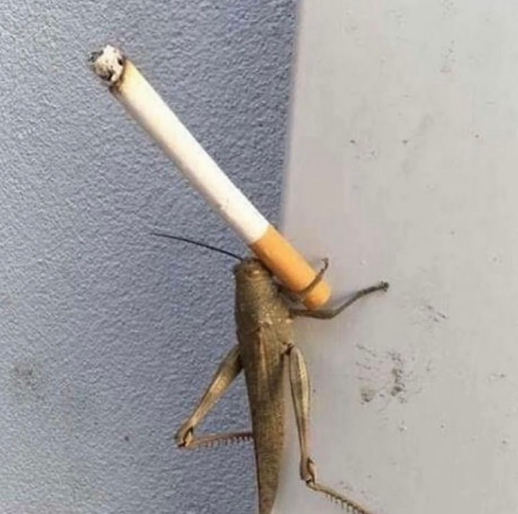4 4 К; 4 in yal A 5. ЗА