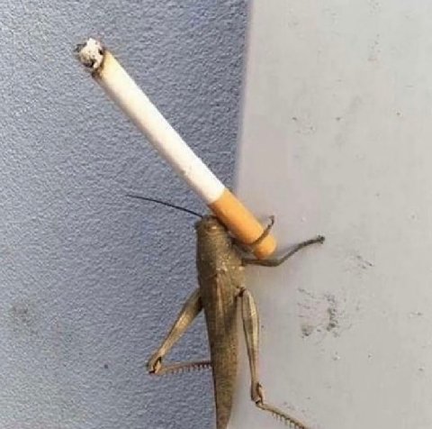 4 4 К; 4 in yal A 5. ЗА