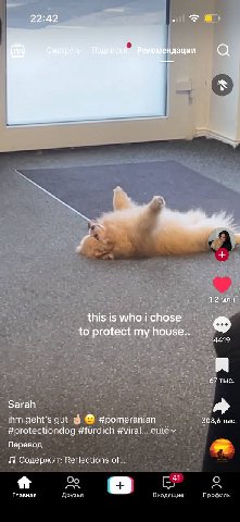 22:42 дации “4,2 win” to protect my 4419 7 67 тыс. Sarah geht’s gut 3 308,6 тыс. #protectiondog #furdich #viral... ещём Перевод Содержит: Reflections of... 4 41 Главная Друзья Входящие Профиль