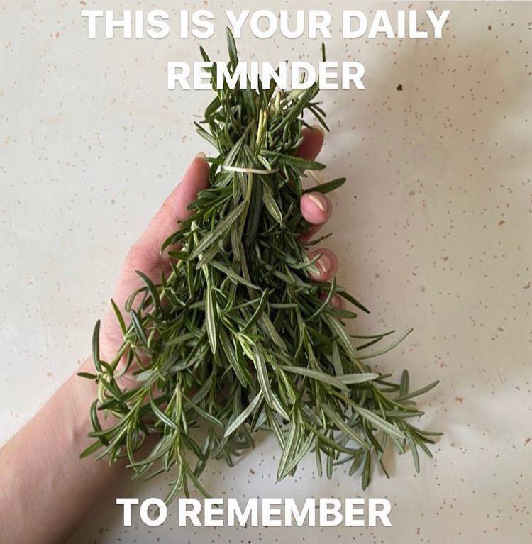 4 у a: 7 4 В у ТО REMEMBER