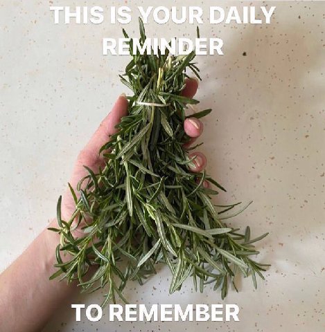 4 у a: 7 4 В у ТО REMEMBER