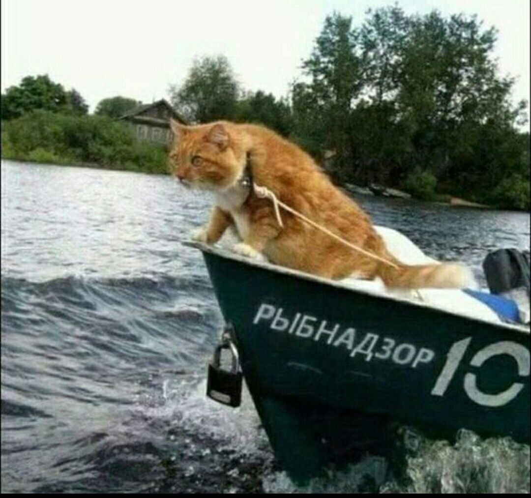 a у 2 4