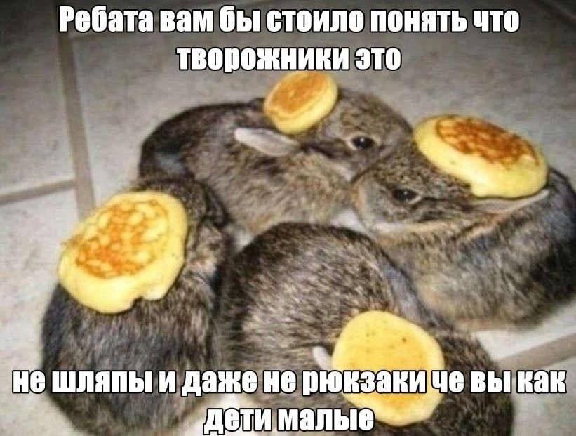 Ребата вам бы стоило понять что тверожники это шляпы и даже не вы как