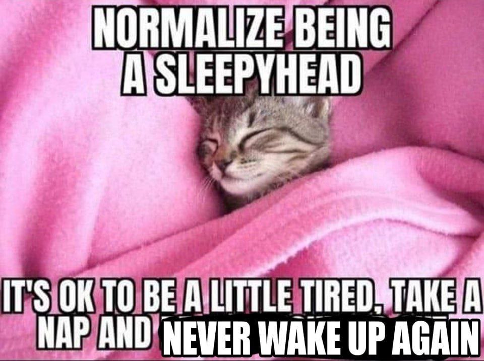 NORMA OLEEPYHEAD NEVER WAKE UP AGAIN