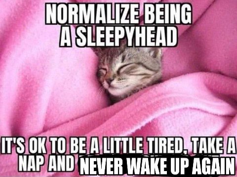 NORMA OLEEPYHEAD NEVER WAKE UP AGAIN