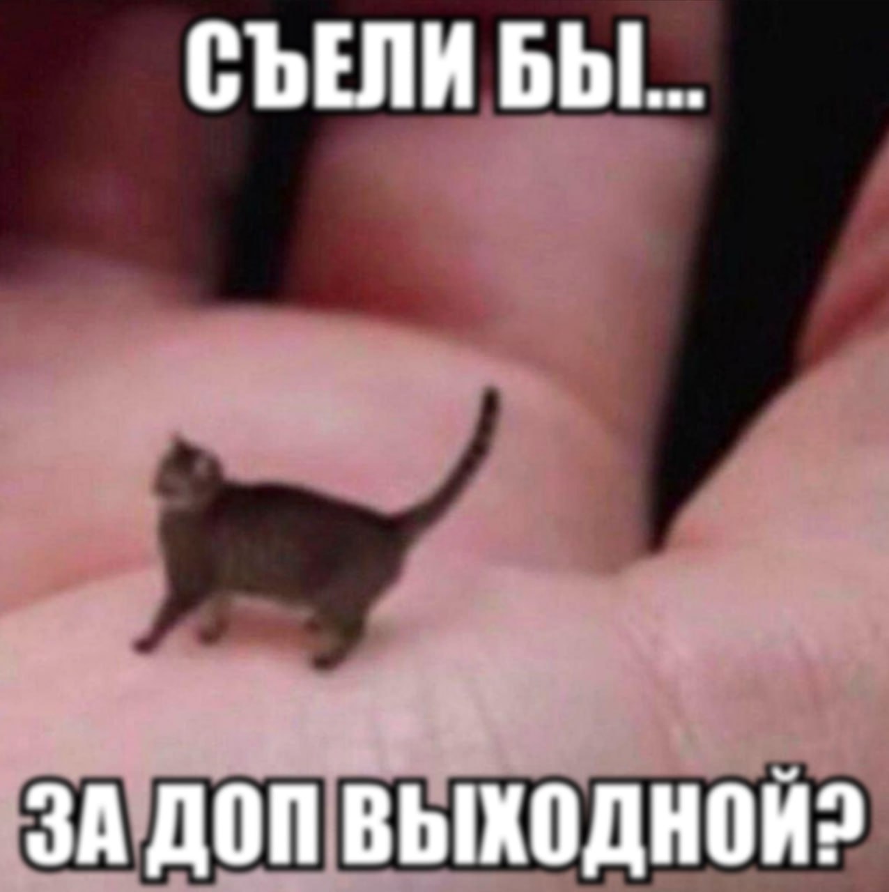 СЪЕЛИ ЗА ДОП ВЫХОДНОЙ?