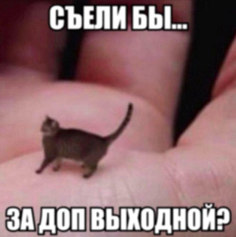 СЪЕЛИ ЗА ДОП ВЫХОДНОЙ?