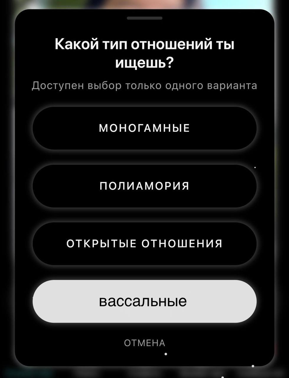 Какой тип отношений ты ищешь? Доступен выбор только одного варианта МОНОГАМНЫЕ ПОЛИАМОРИЯ ОТКРЫТЫЕ ОТНОШЕНИЯ вассальные ОТМЕНА