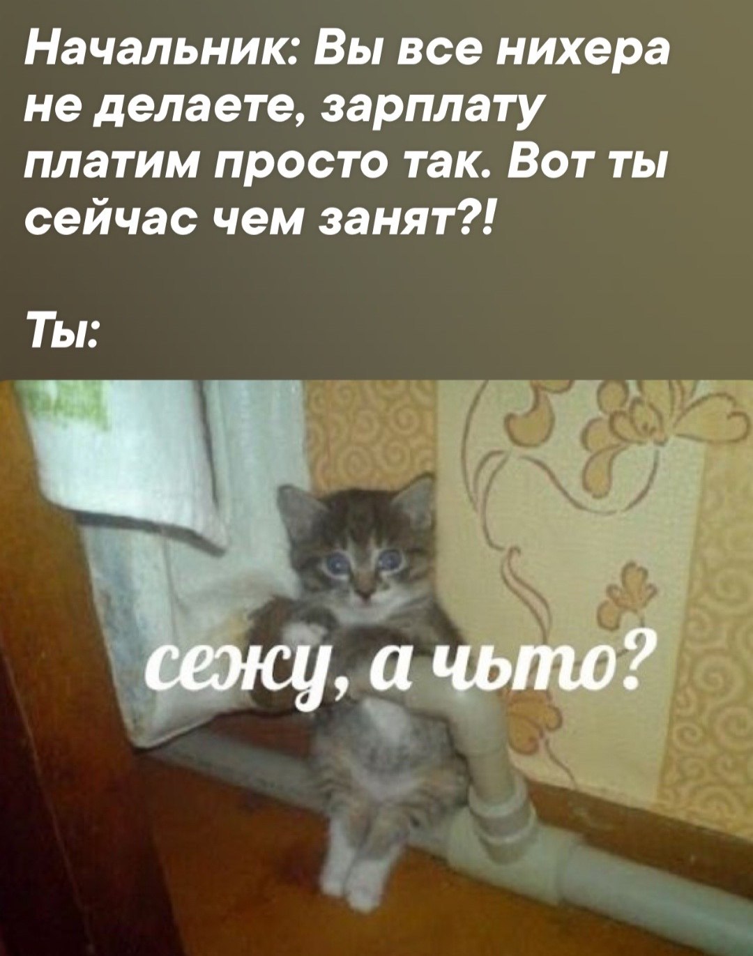 Начальник: Вы все нихера не делаете, зарплату платим просто так. Вот ты сейчас чем занят?! Ты: сежу, а чьто
