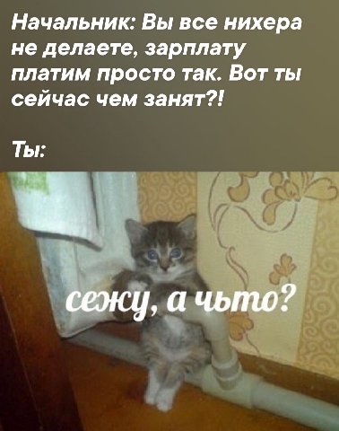 Начальник: Вы все нихера не делаете, зарплату платим просто так. Вот ты сейчас чем занят?! Ты: сежу, а чьто