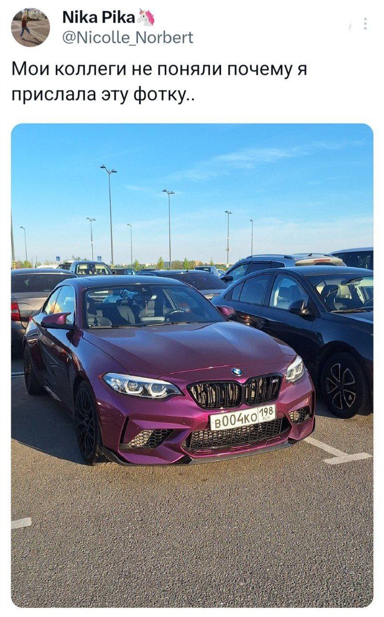 Nika Pika“ @Nicolle Norbert Мои коллеги не поняли почему я прислала эту фотку.. а 9, 3 98 300 We aS 25 35 57 я; 0) 2% 5; igs a 77: 2 393, BE