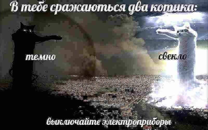 В тебе сражаються аба котика: темно