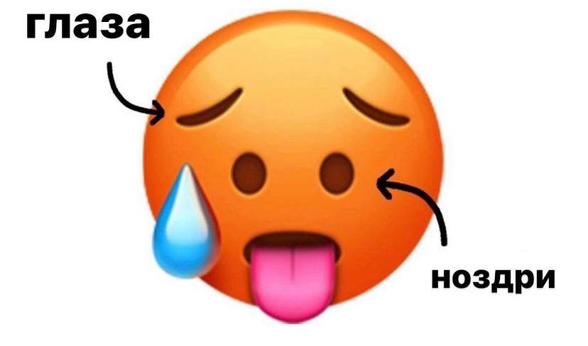 глаза ноздри