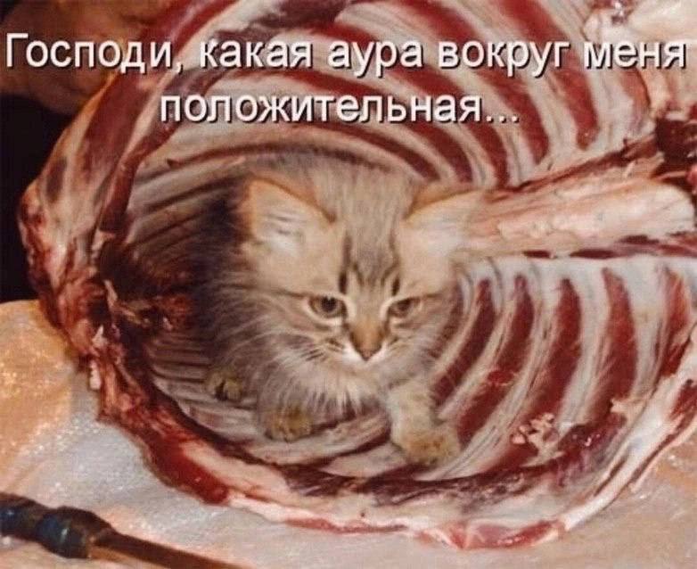 Господи, какая аура вокруг положительная...