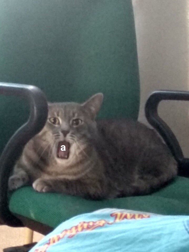 а