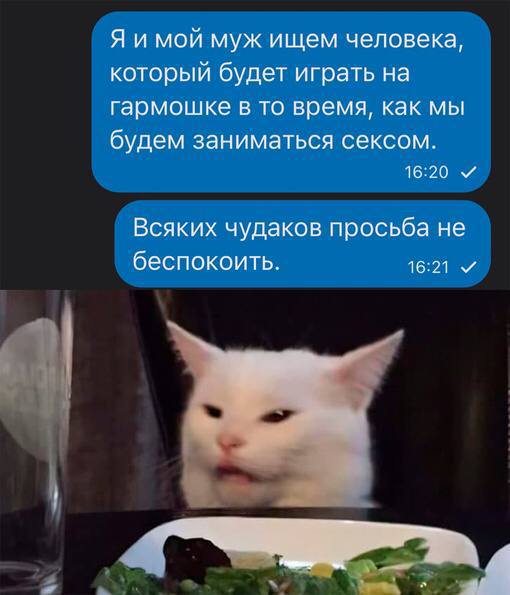 Я и мой муж ищем человека, который будет играть на гармошке в то время, как мы будем заниматься сексом. 16:20 и Всяких чудаков просьба не беспокоить. 16:21