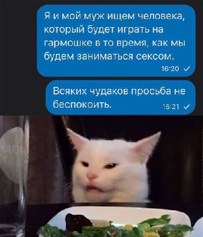 Я и мой муж ищем человека, который будет играть на гармошке в то время, как мы будем заниматься сексом. 16:20 и Всяких чудаков просьба не беспокоить. 16:21