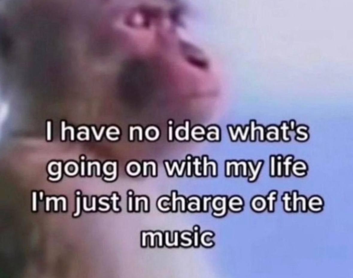 have no idea what's going on with my life just in charge of the